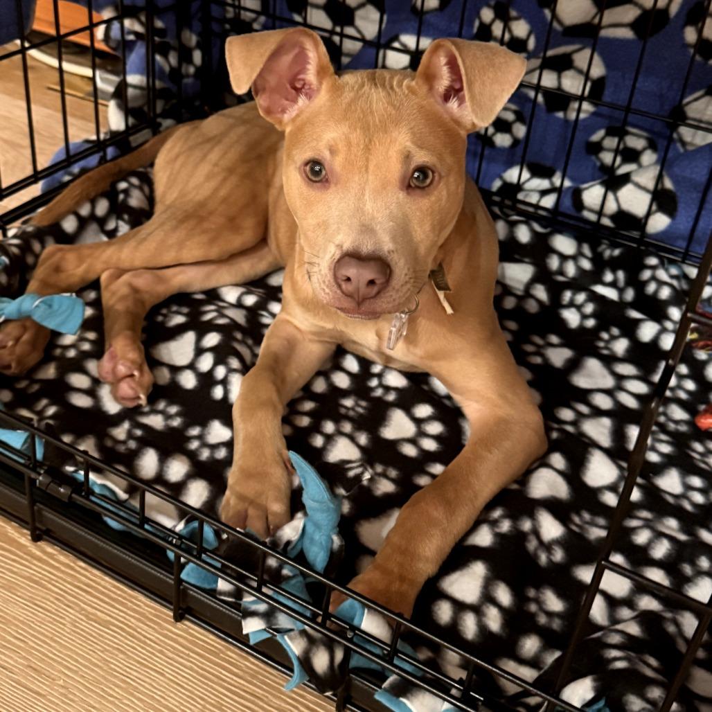 Cole — thumbnail 4