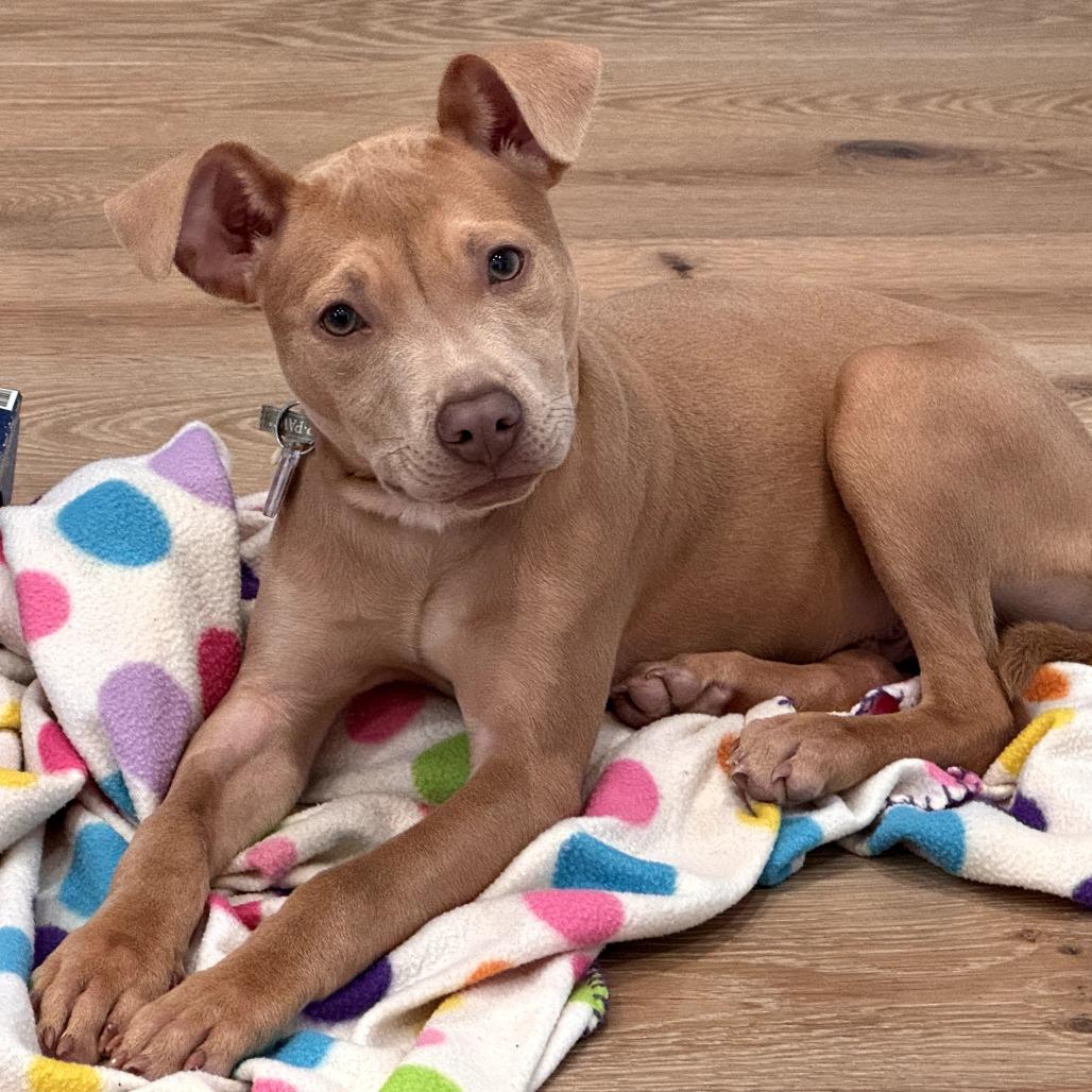 Cole — thumbnail 5