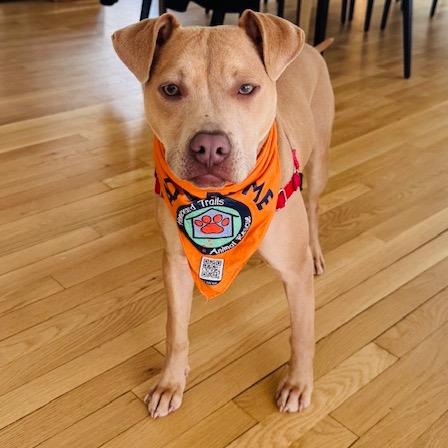 Cole — thumbnail 6