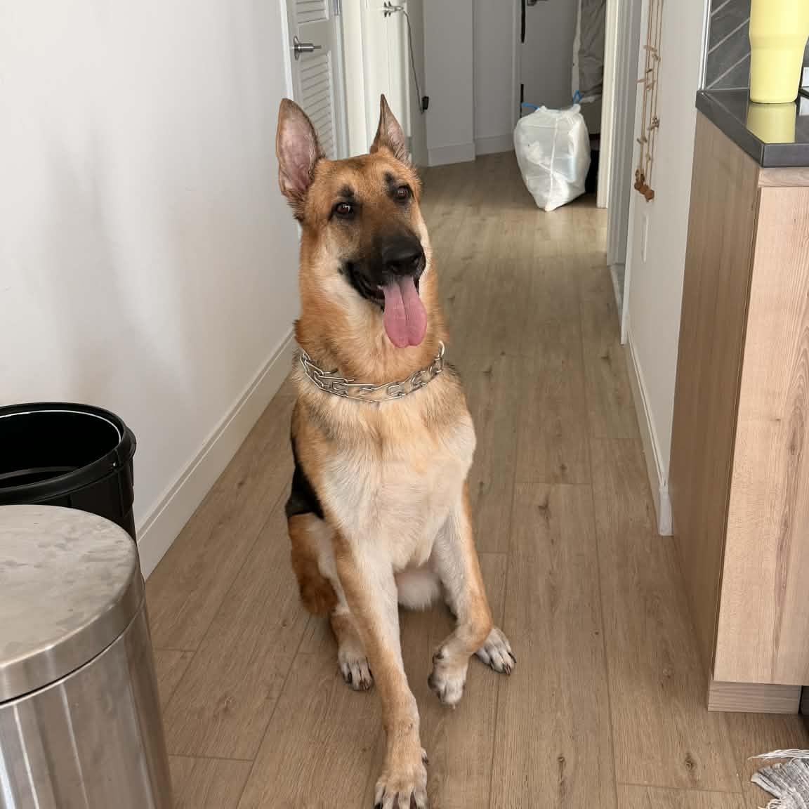 MAX GS — thumbnail 2