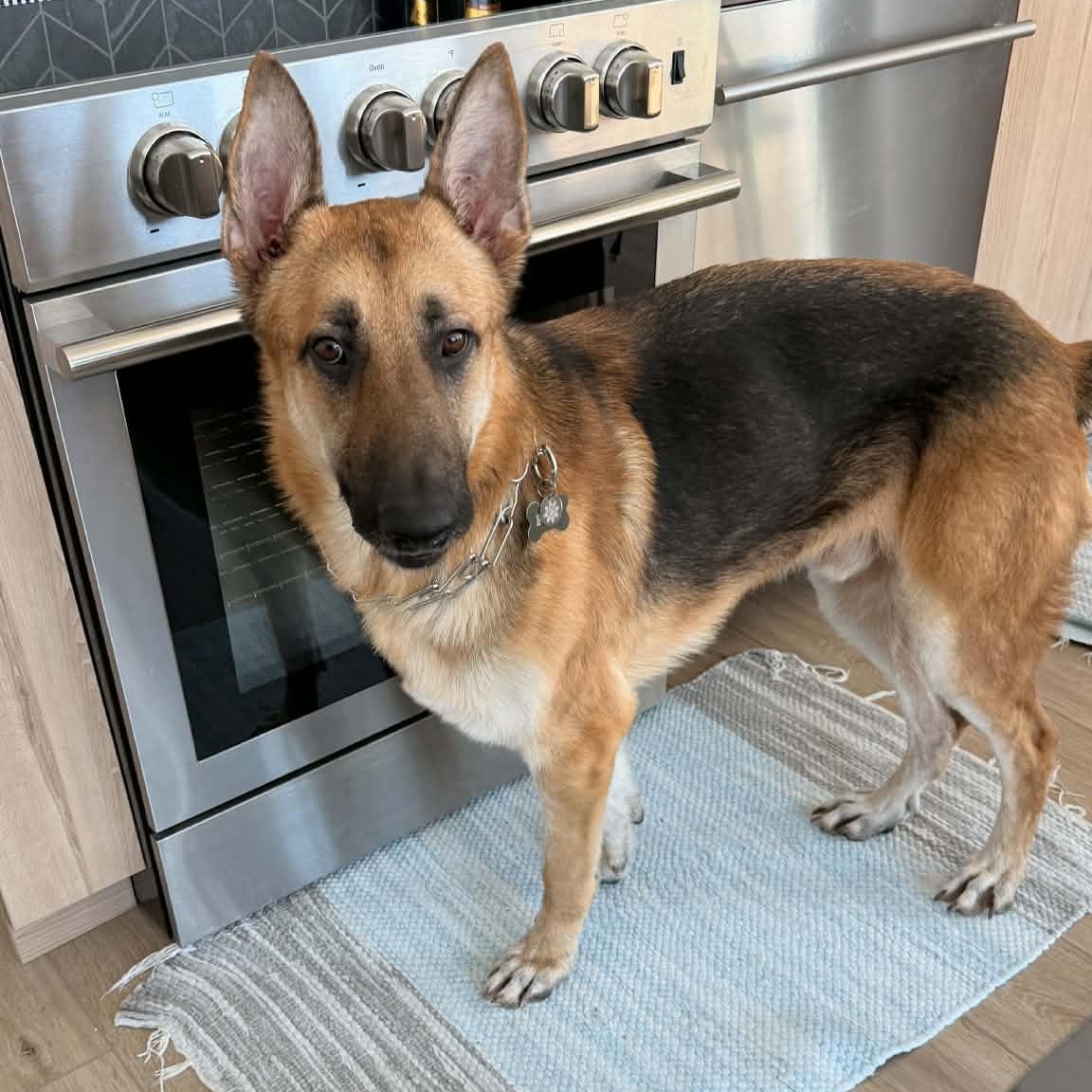 MAX GS — thumbnail 4