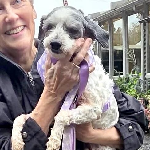Enlarge Justina, a ADOPTABLE mixed breed in Saint Helens, OR image 5/5