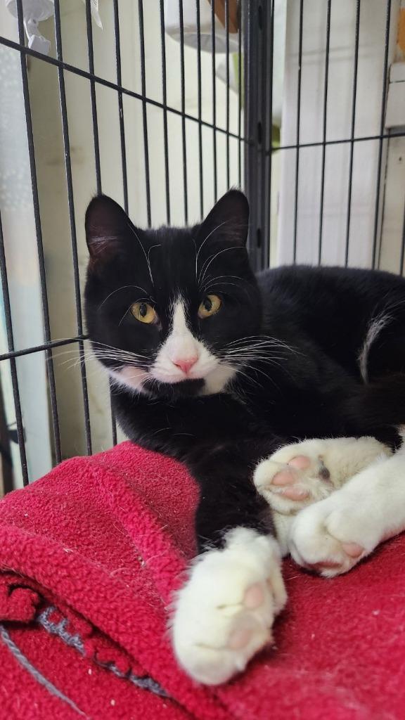 Emma — thumbnail 4