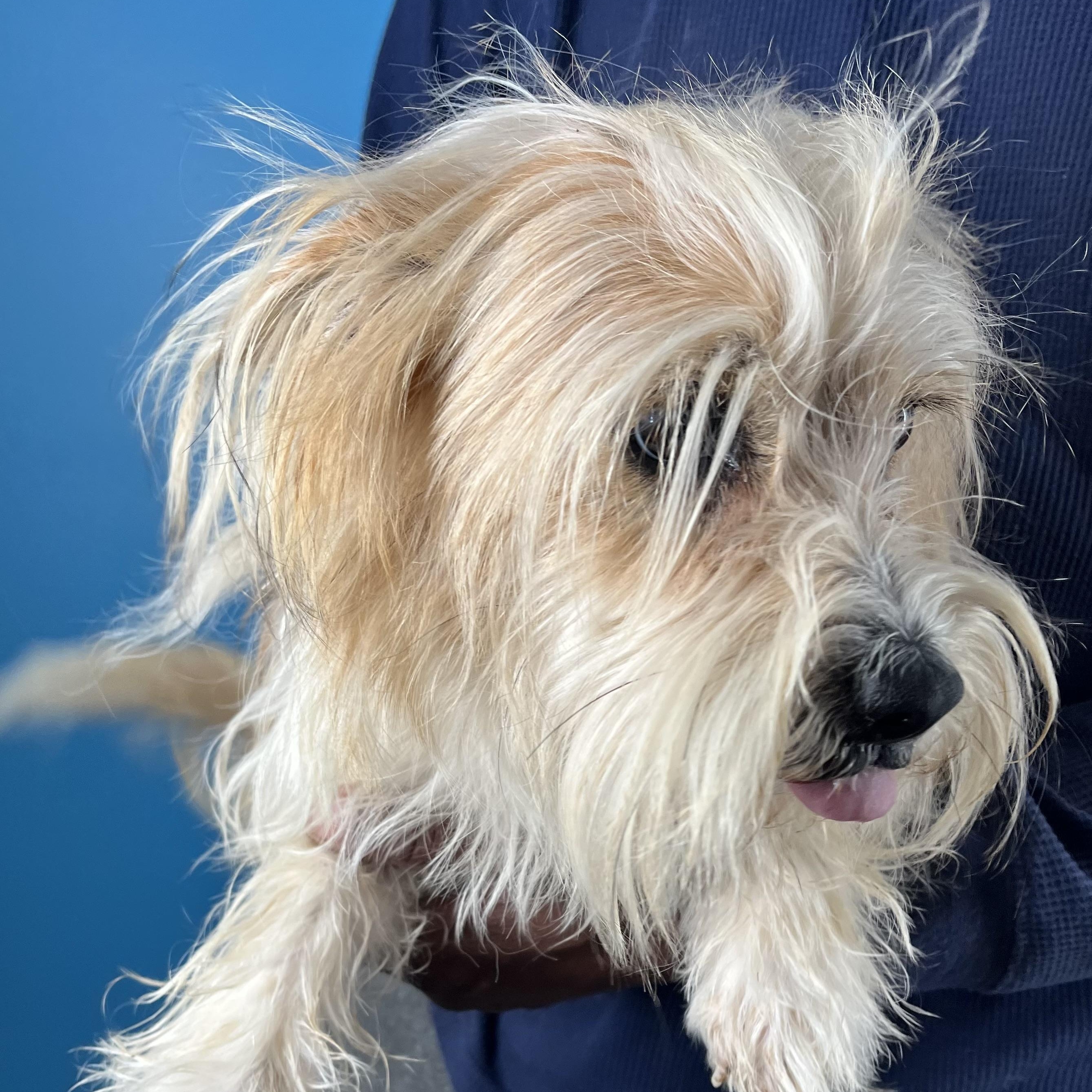 Molly  Local February thumbnail 2