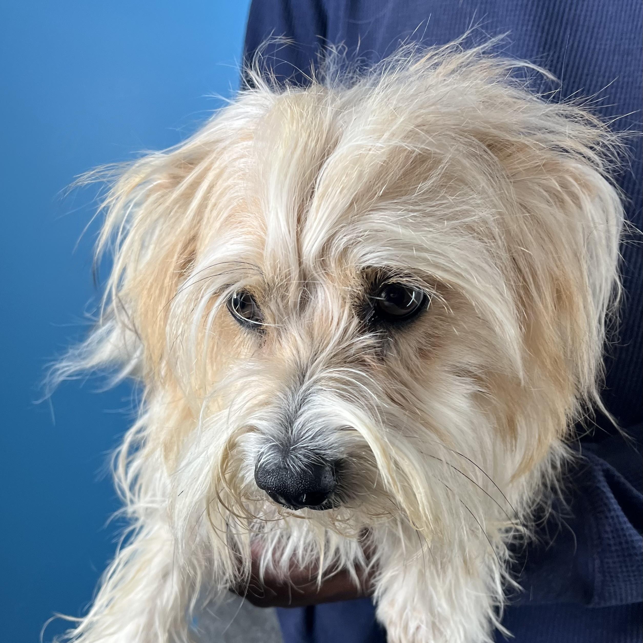 Molly  Local February thumbnail 4