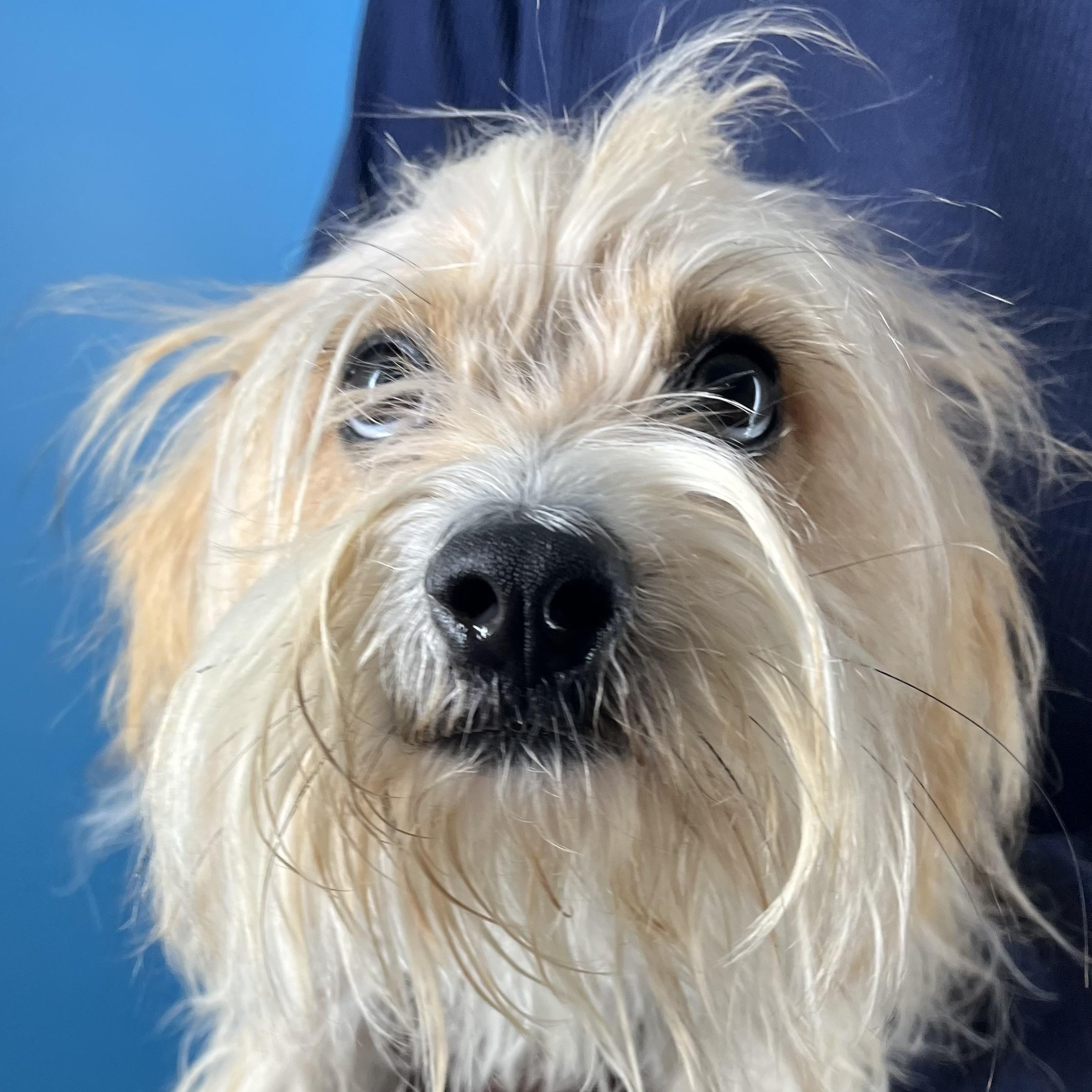 Molly  Local February thumbnail 5