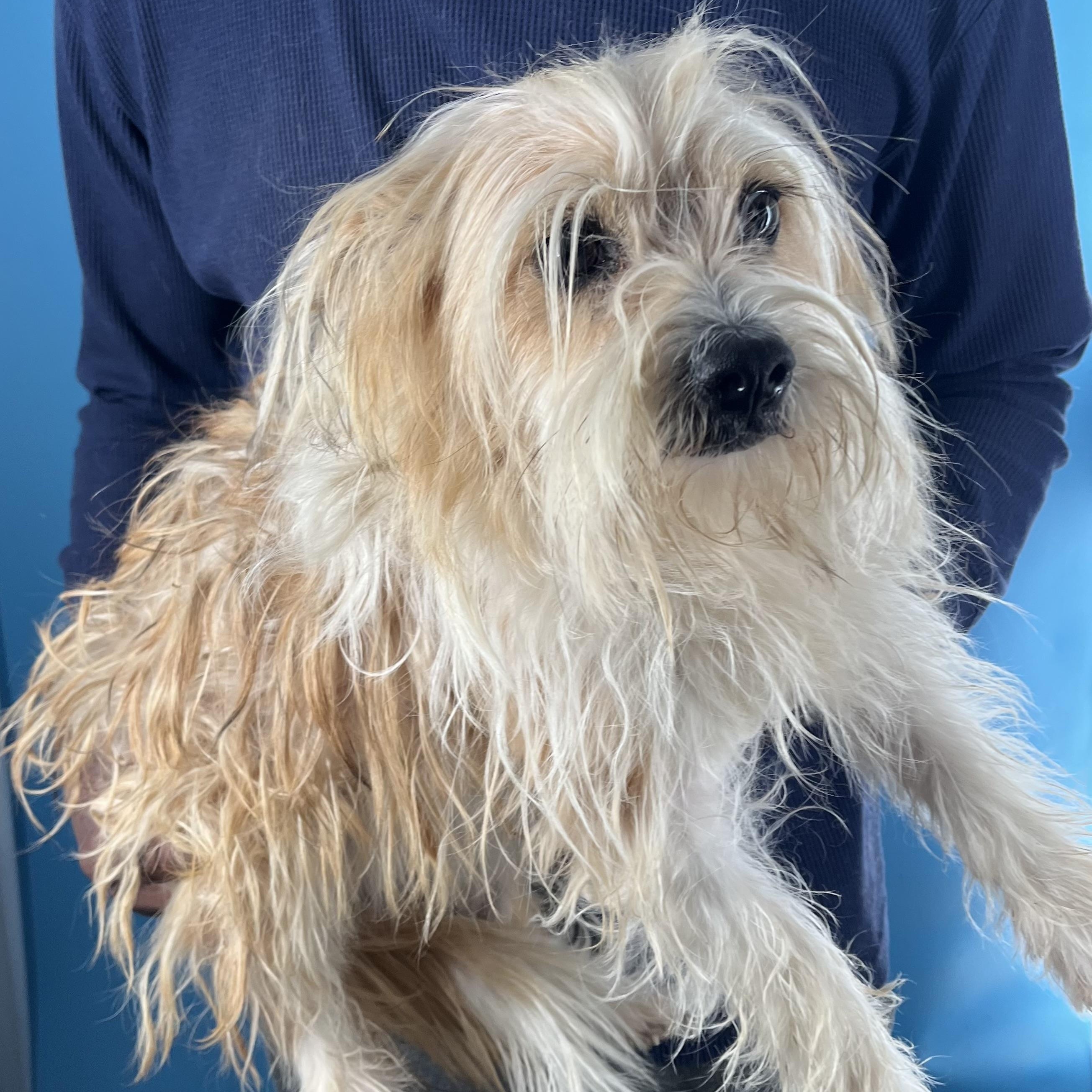 Molly  Local February thumbnail 6