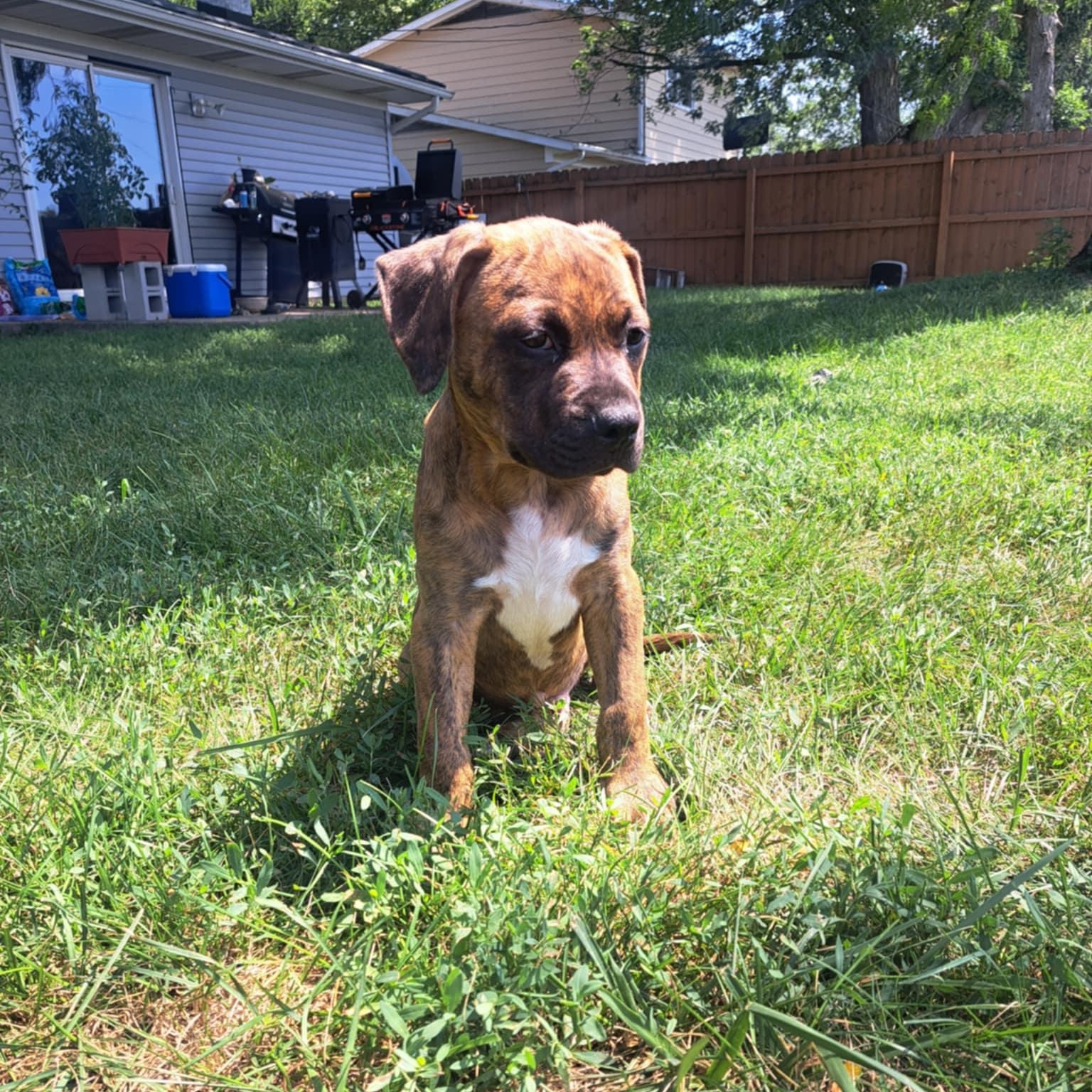 Doug photo 1