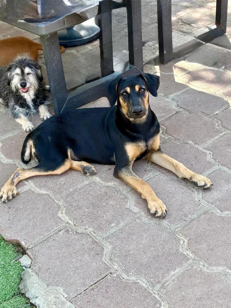 Sydney — thumbnail 4