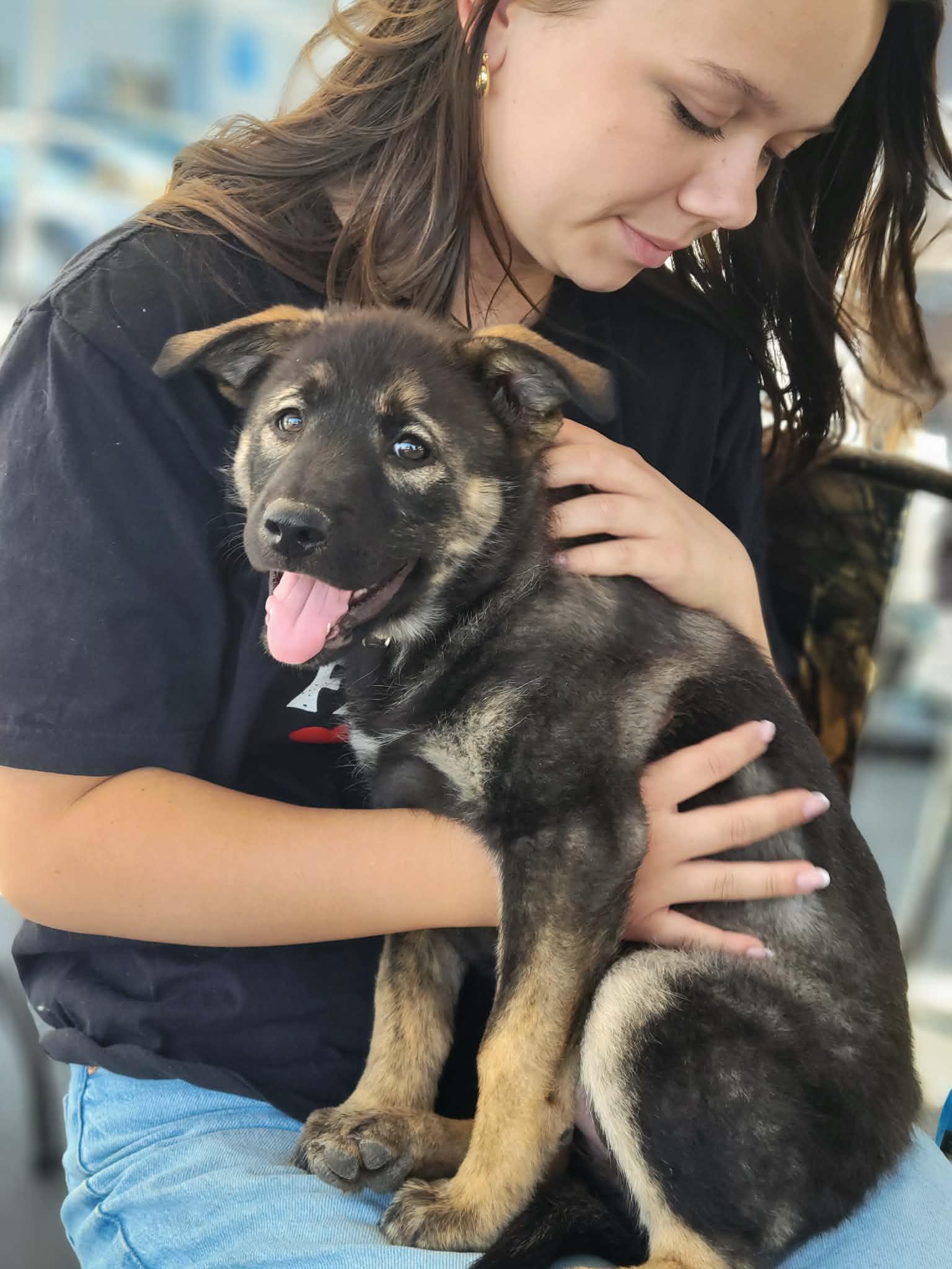 Enlarge Sephora, a ADOPTABLE mixed breed in Anza, CA image 2/6