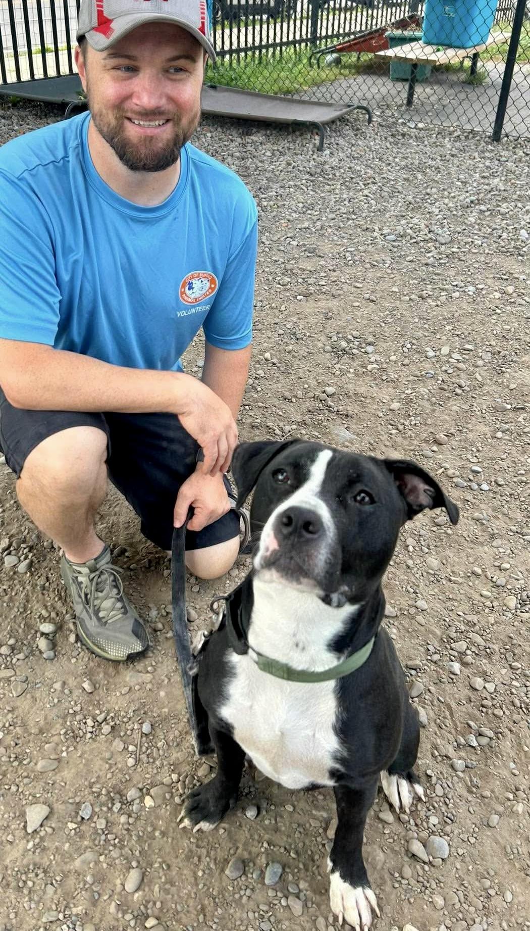 Dunkaroo, a ADOPTABLE mixed breed in Buffalo, NY image 3/5