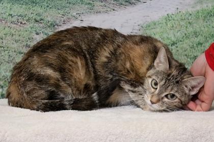 Gianna — thumbnail 3