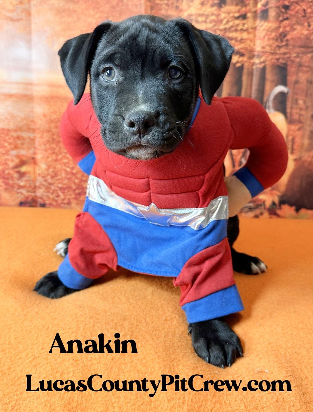 Anakin