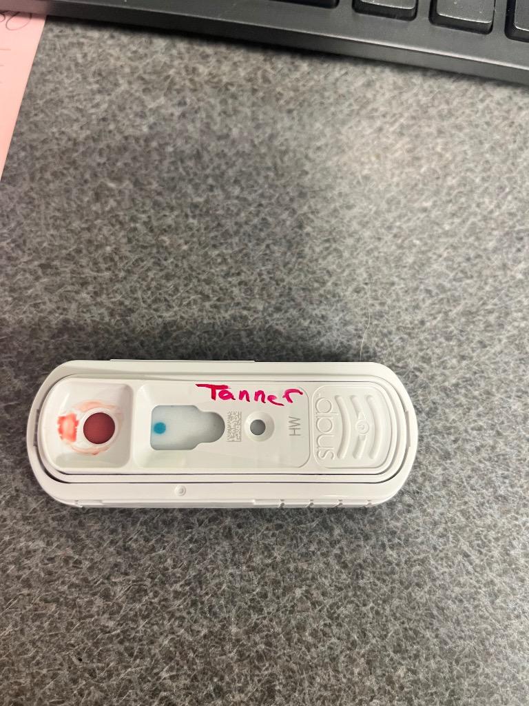 Enlarge Tanner, a Adoptable Hound in Hopkinsville, KY image 3/3