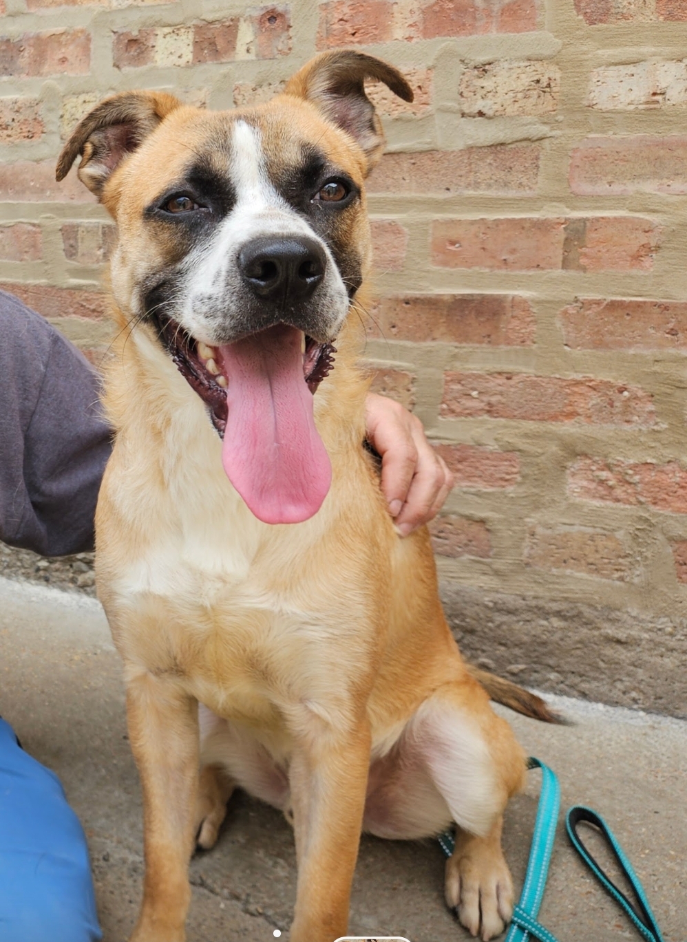 Oscar (ADOPTED!)