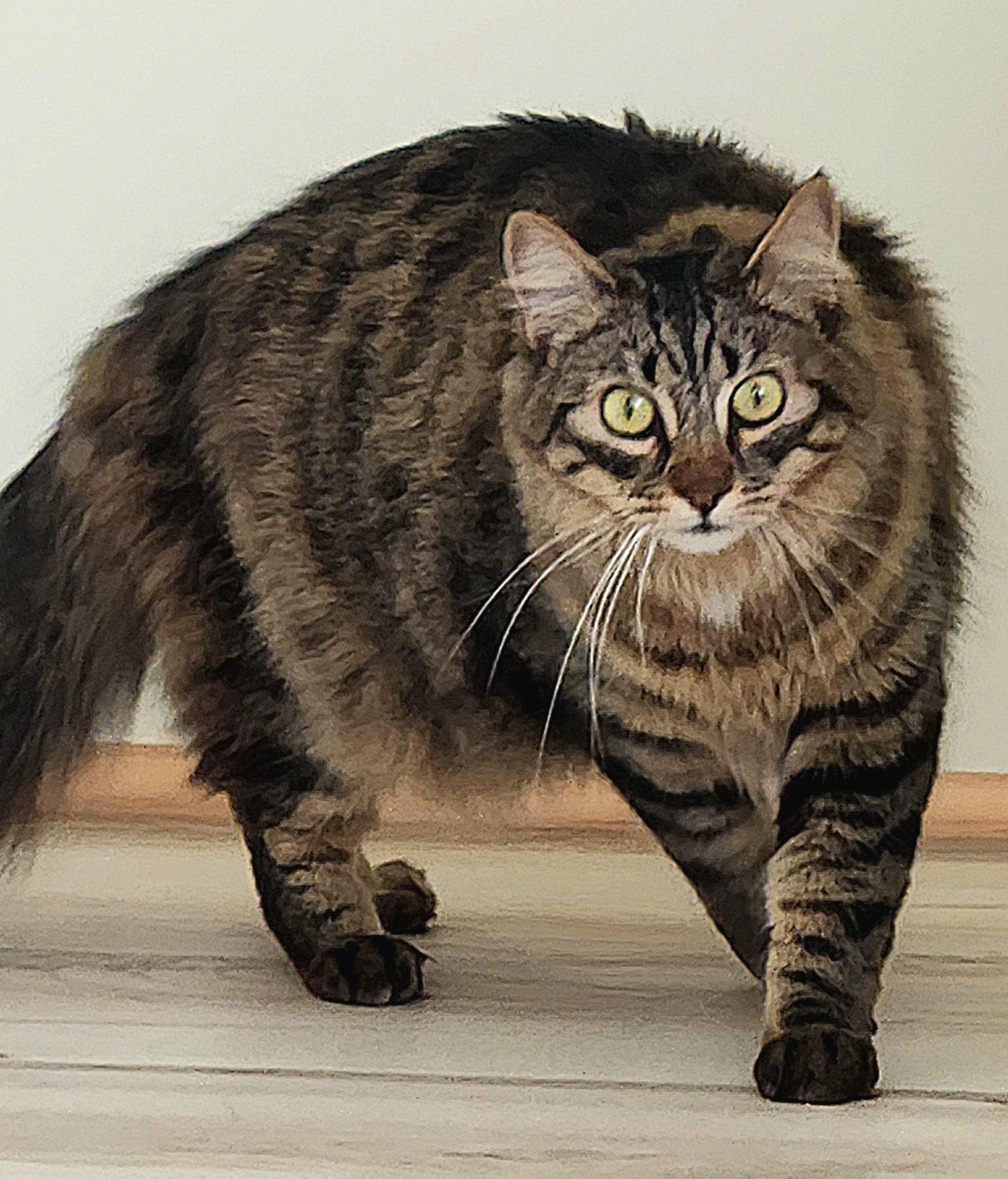 Enlarge Dalton, a Adoptable mixed breed in Monrovia, CA image 1/3