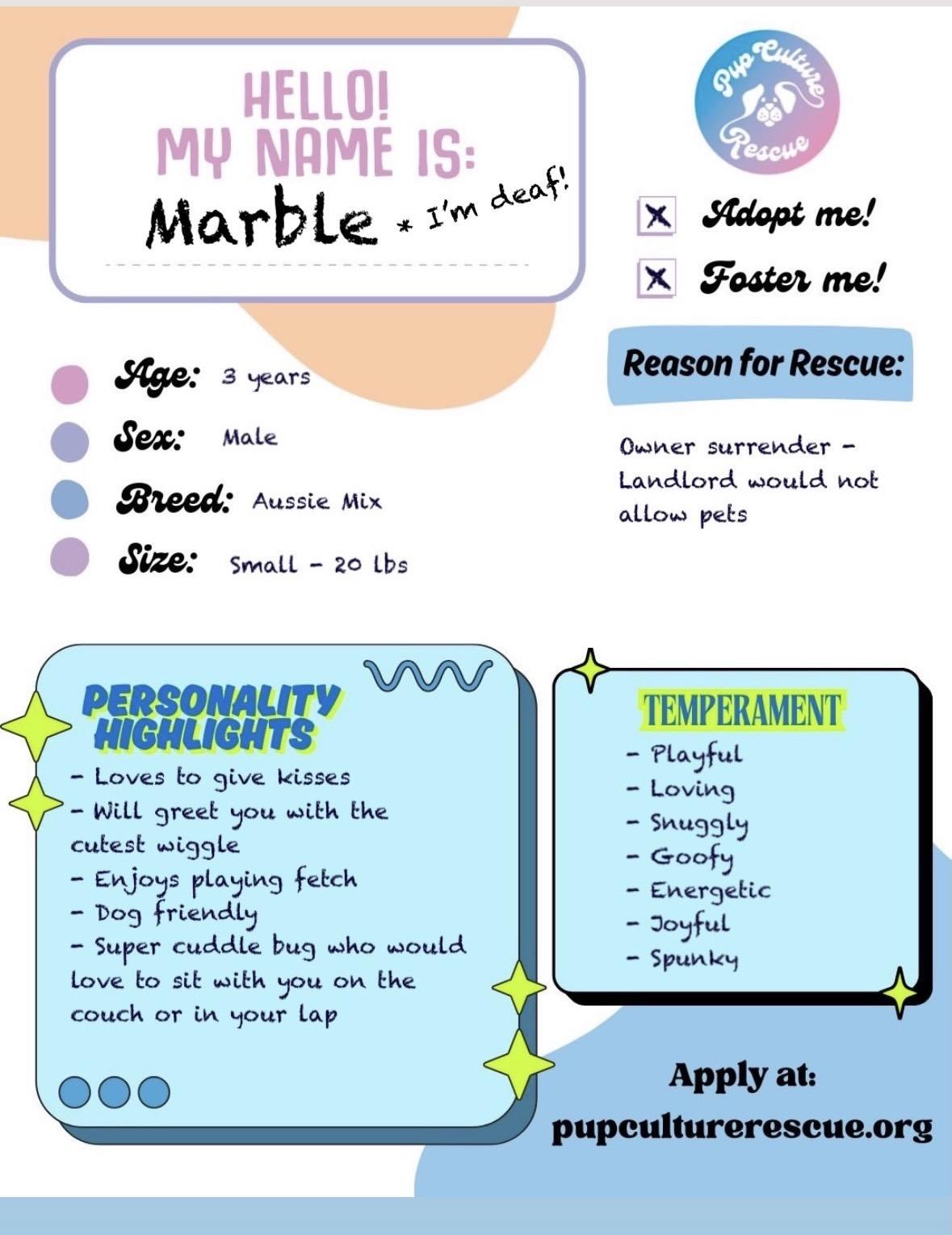 Enlarge Marble, an adoptable mixed breed in Pasadena, CA image 2/6