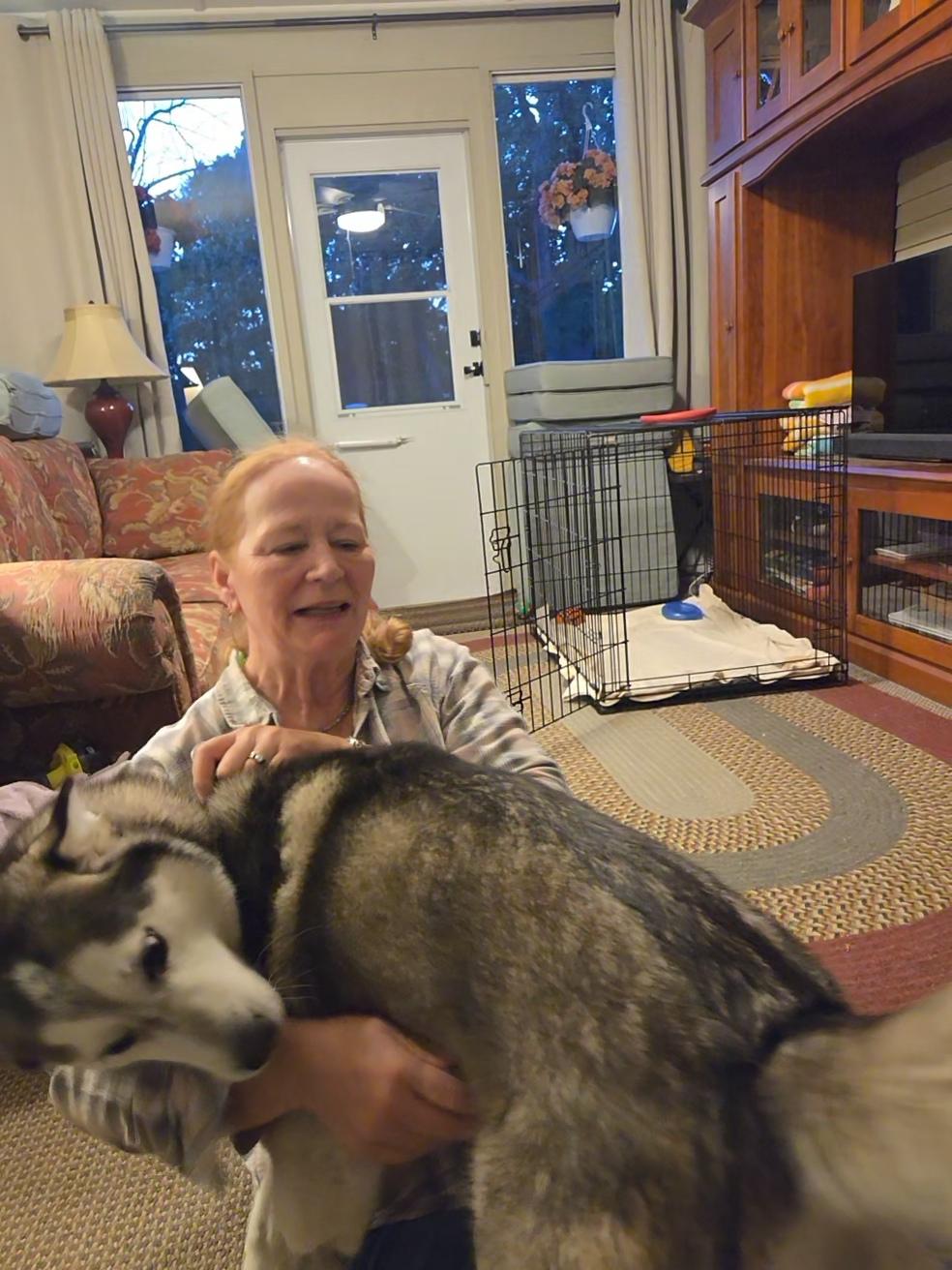 Nova, a ADOPTABLE Husky in Spencer, MA image 4/5