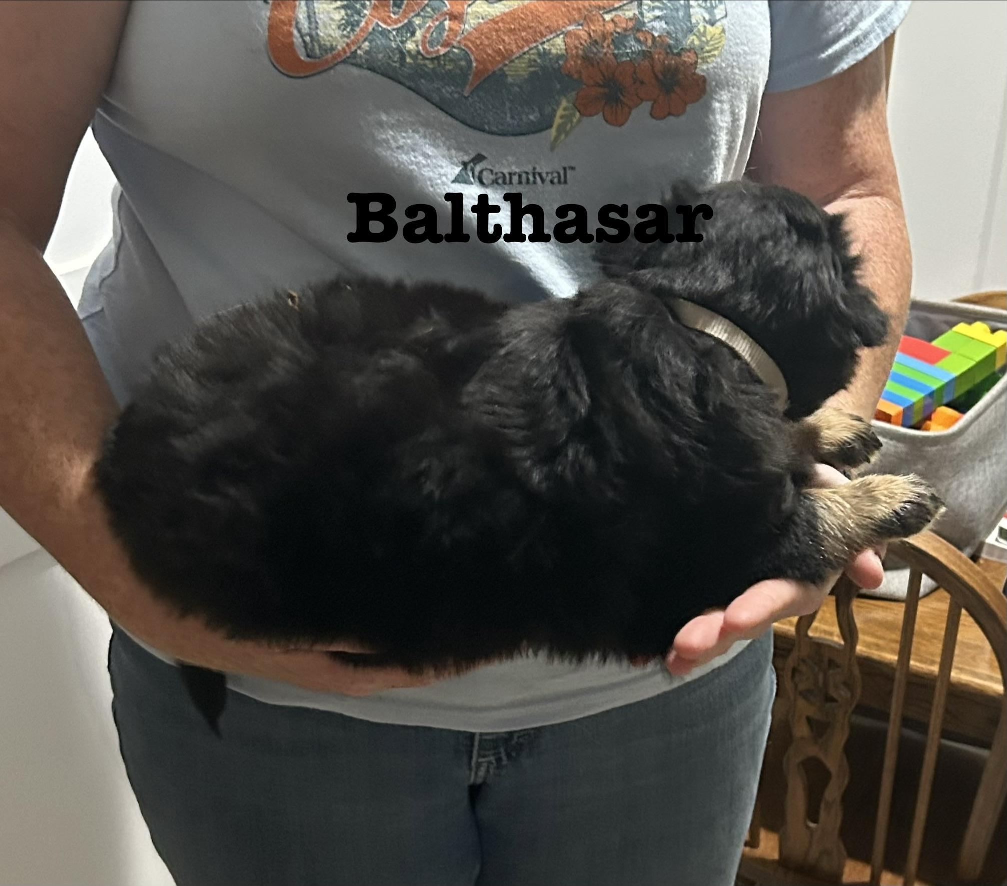 Balthasar photo