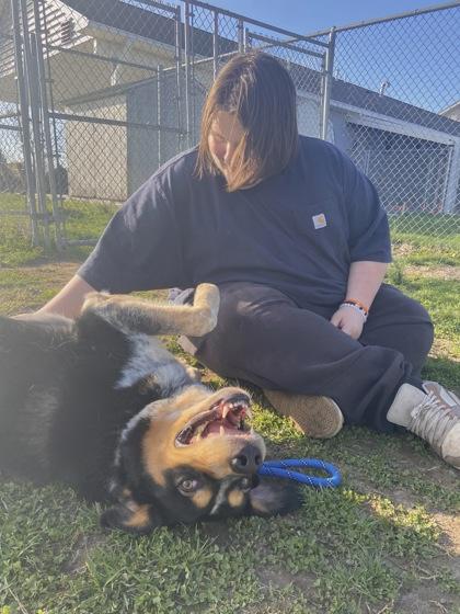 Enlarge Zeus, a Adoptable mixed breed in Columbus, IN image 3/3