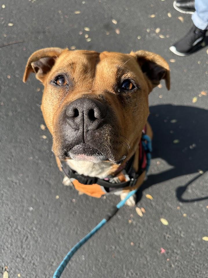 Clarence thumbnail 2