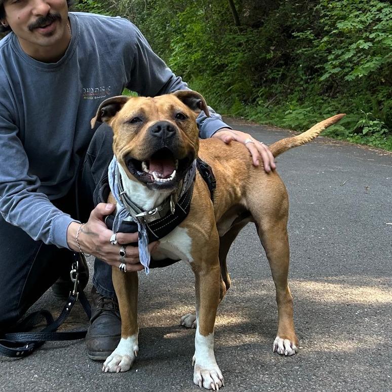 Clarence thumbnail 3