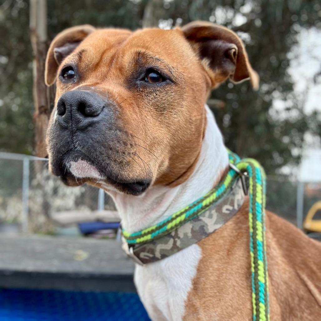 Clarence thumbnail 5