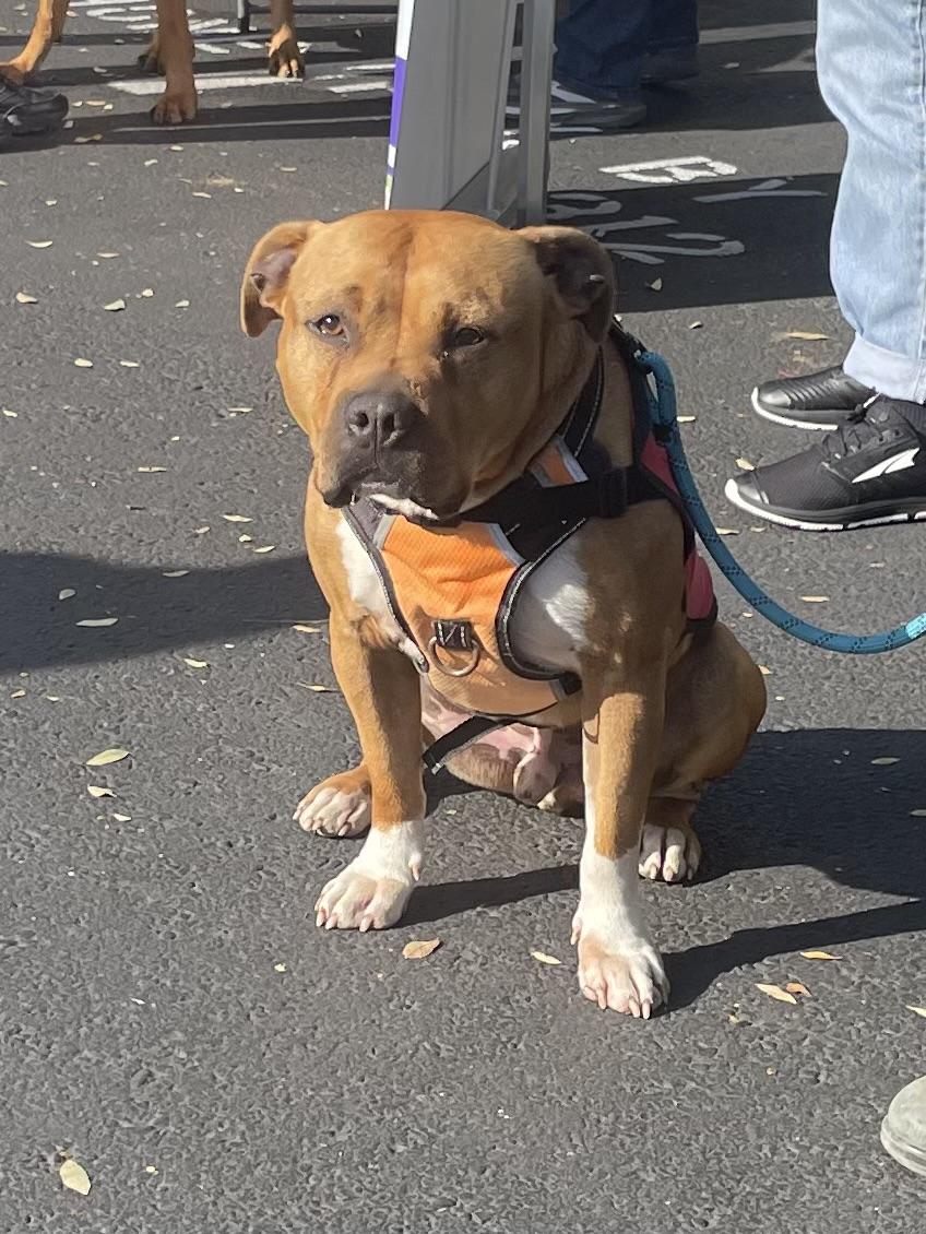 Clarence thumbnail 6