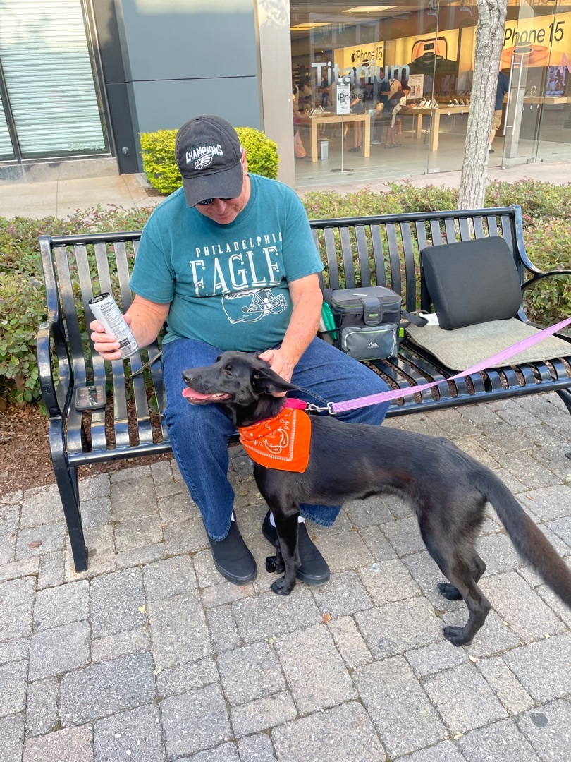 Winnipeg, a Adopted mixed breed in MADISON, AL image 3/6