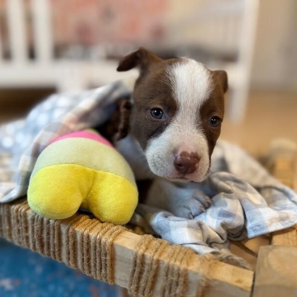 Marina Mae Perla — thumbnail 3