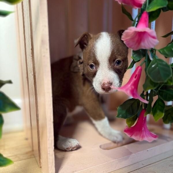 Marina Mae Perla — thumbnail 4