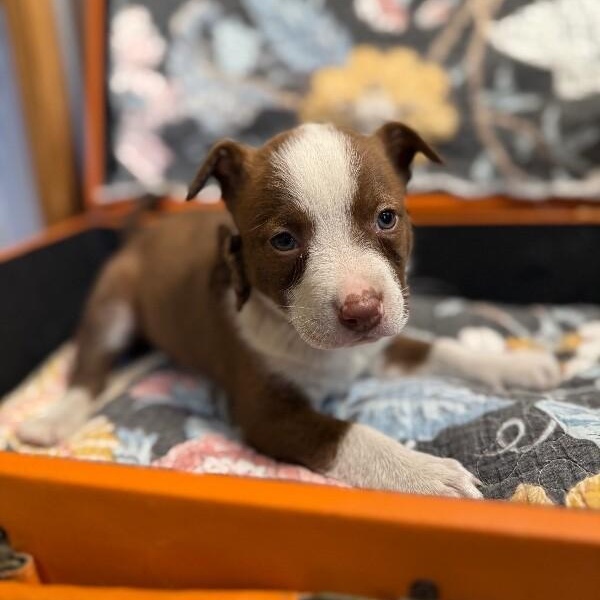 Marina Mae Perla — thumbnail 5