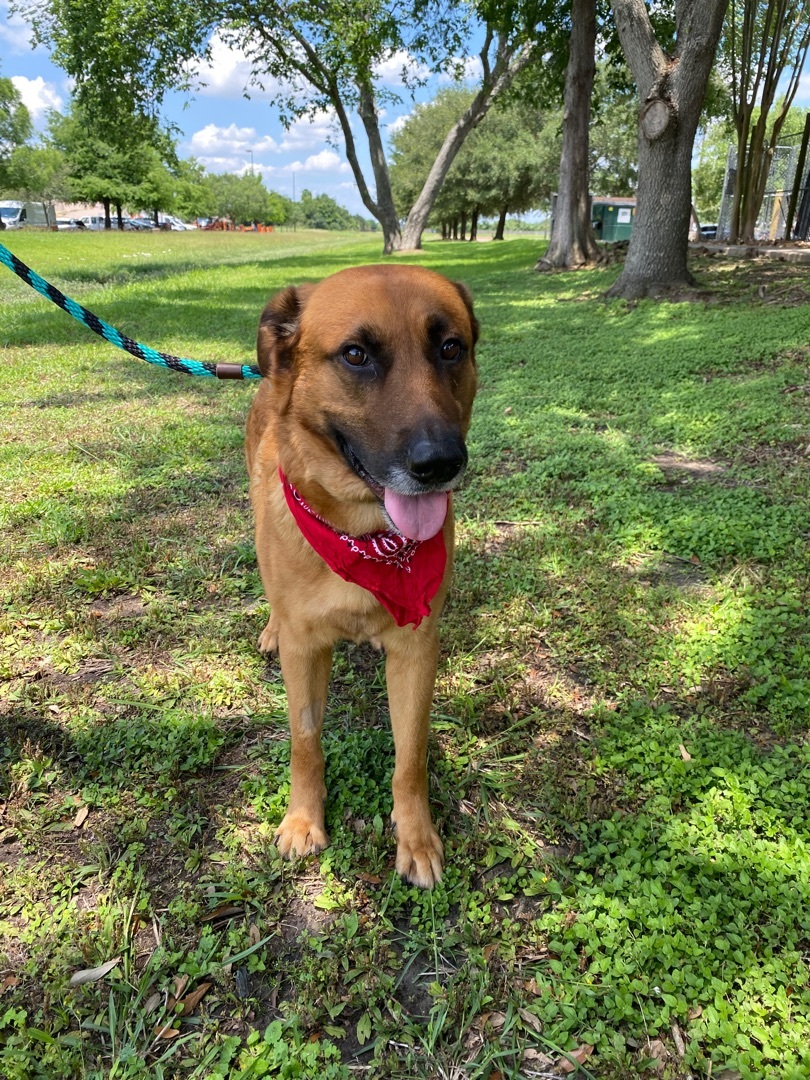 Max