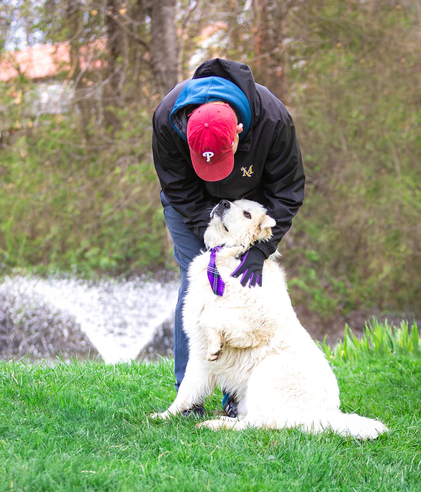 Enlarge Aspen, a Adoptable Great Pyrenees in Coatesville, PA image 2/3