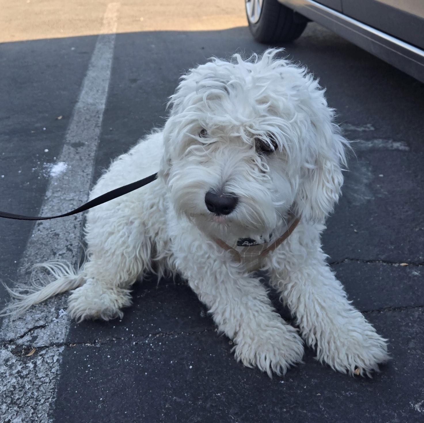 Milo