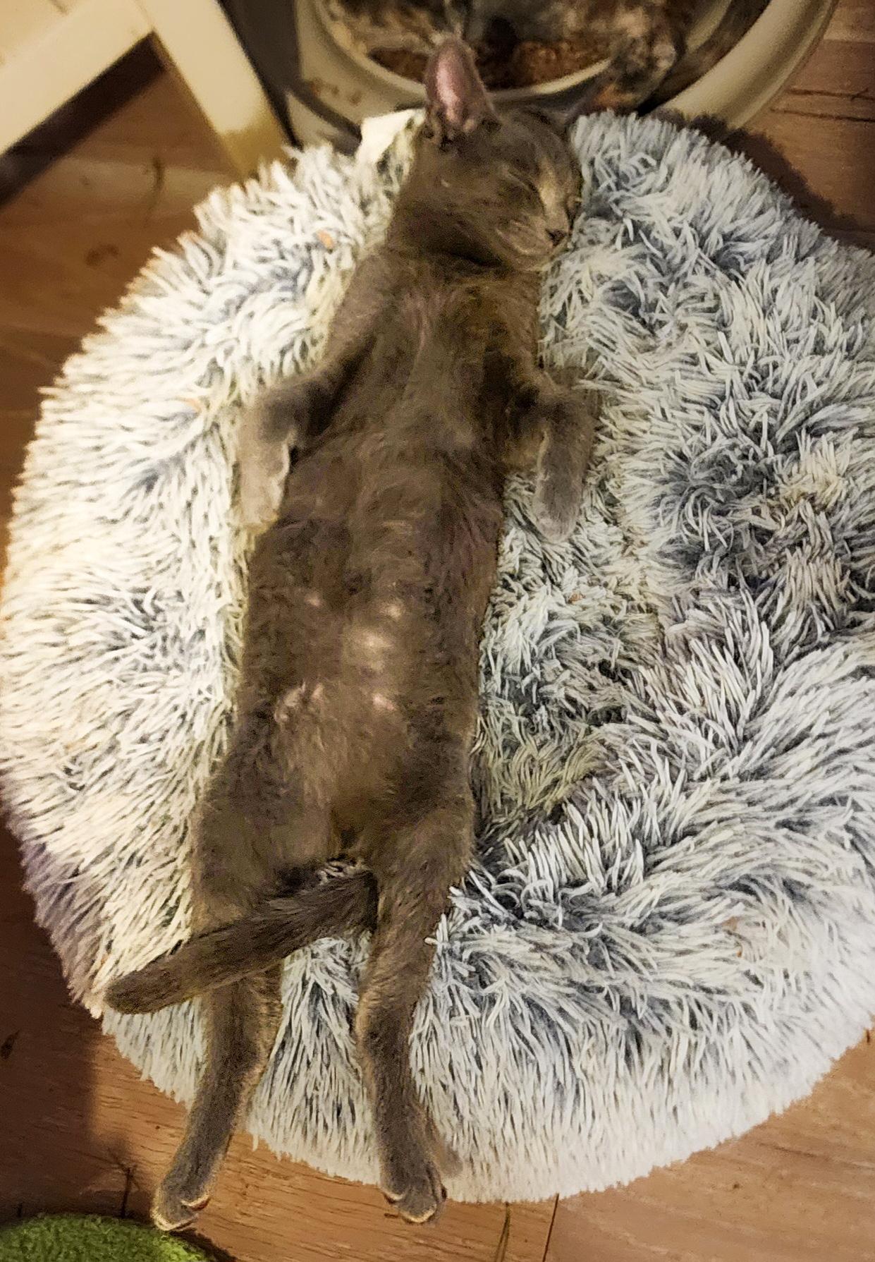 Smokie — thumbnail 2