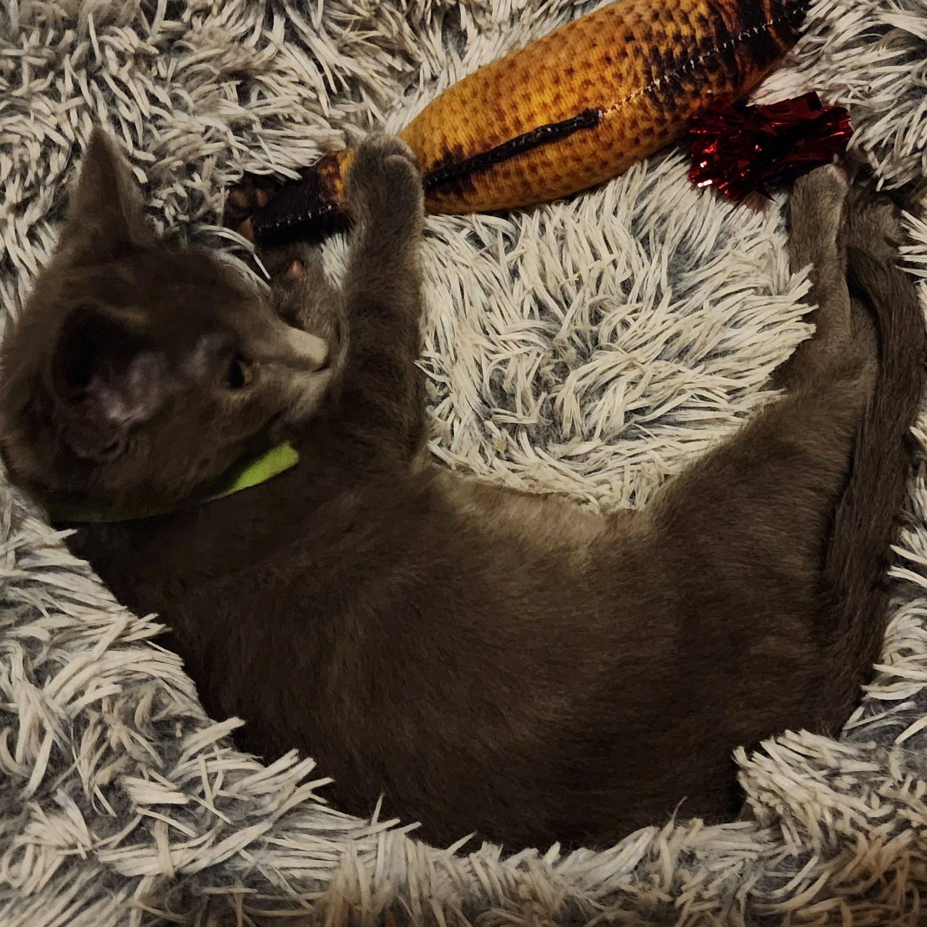 Smokie — thumbnail 4