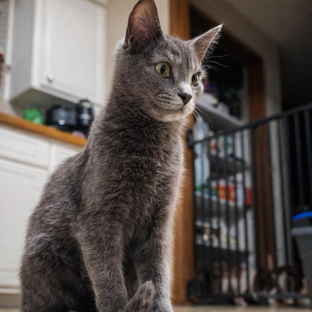 Smokie — thumbnail 5