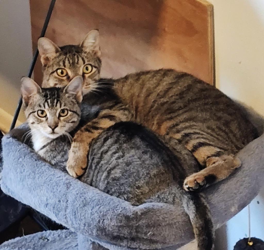 Mary — thumbnail 2