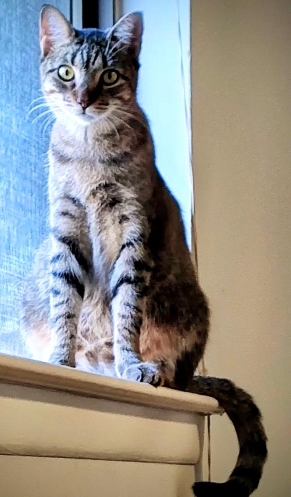 Mary — thumbnail 3