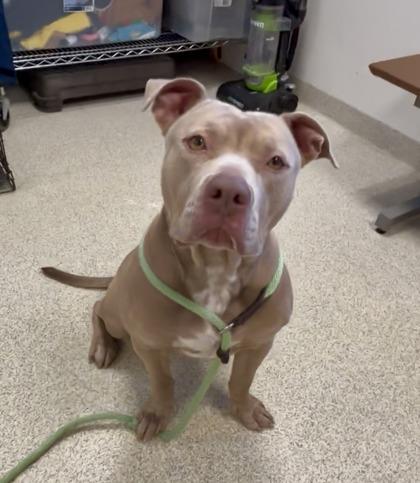 Parm — thumbnail 3