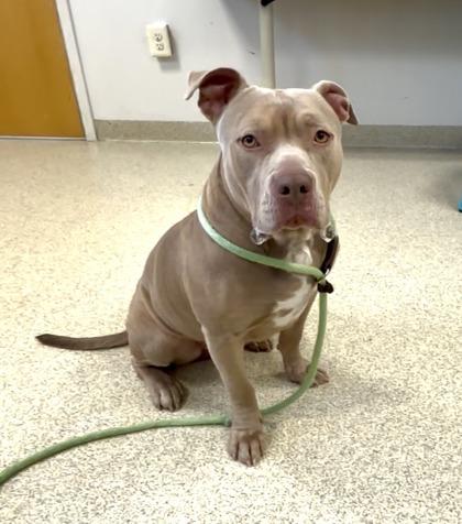 Parm — thumbnail 4