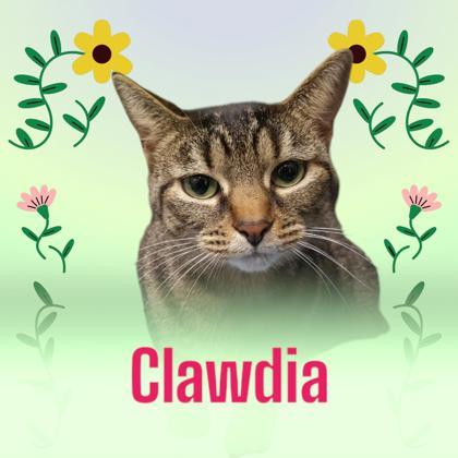 Clawdia
