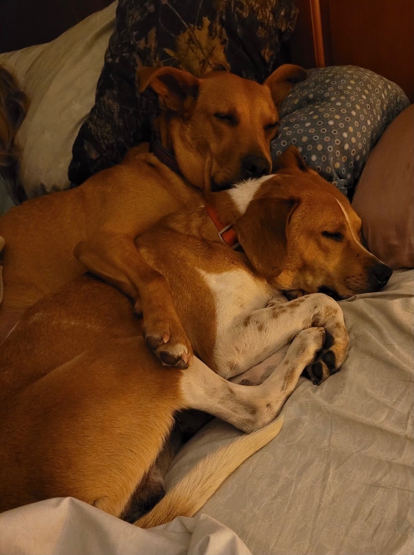Roxy photo 5