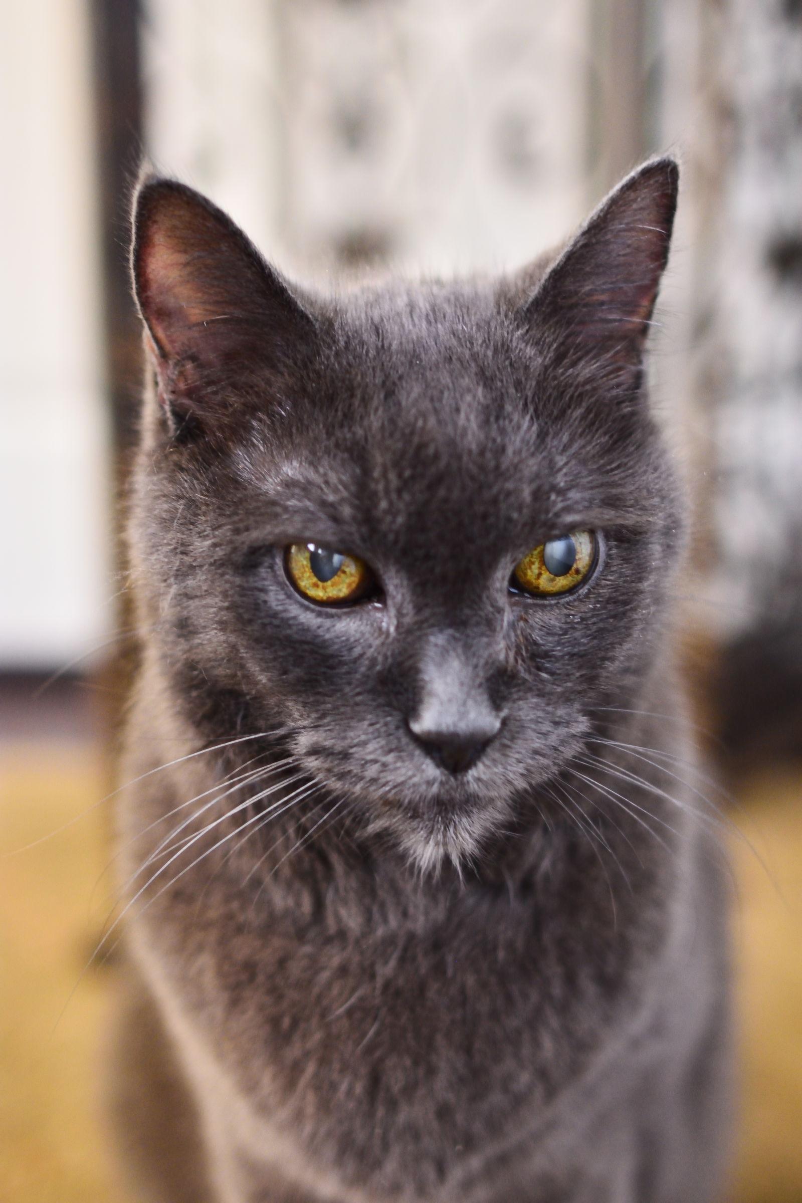 Paolo — thumbnail 3