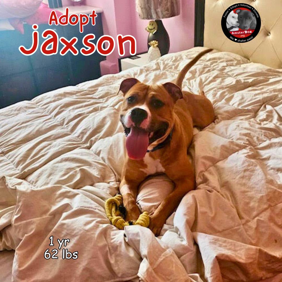Jaxson photo 2