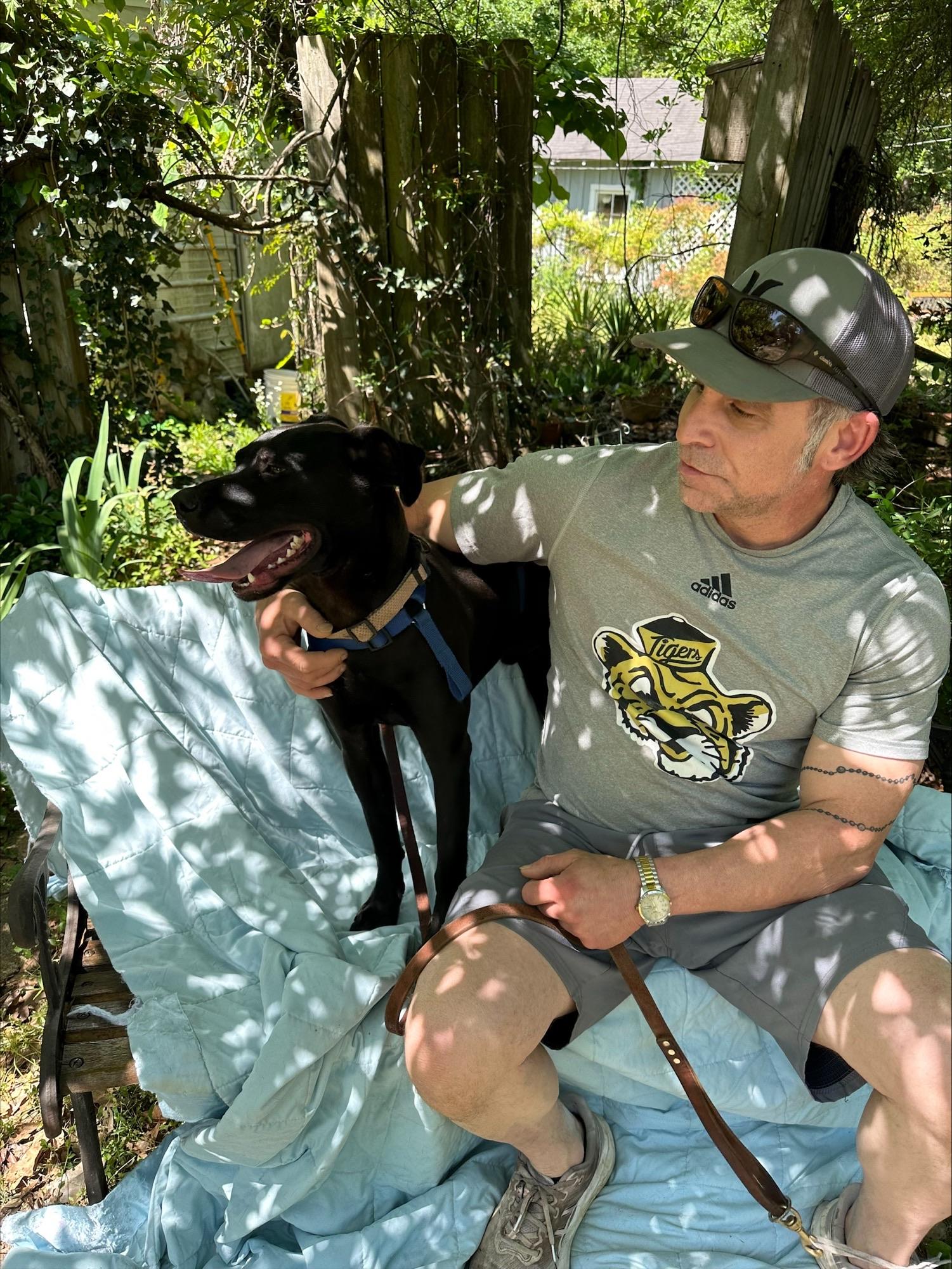 Enlarge Jack Flash, a Adoptable mixed breed in Woburn, MA image 3/5
