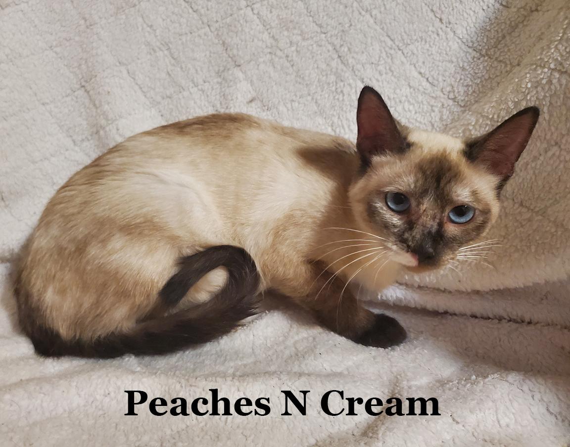 Peaches N Cream