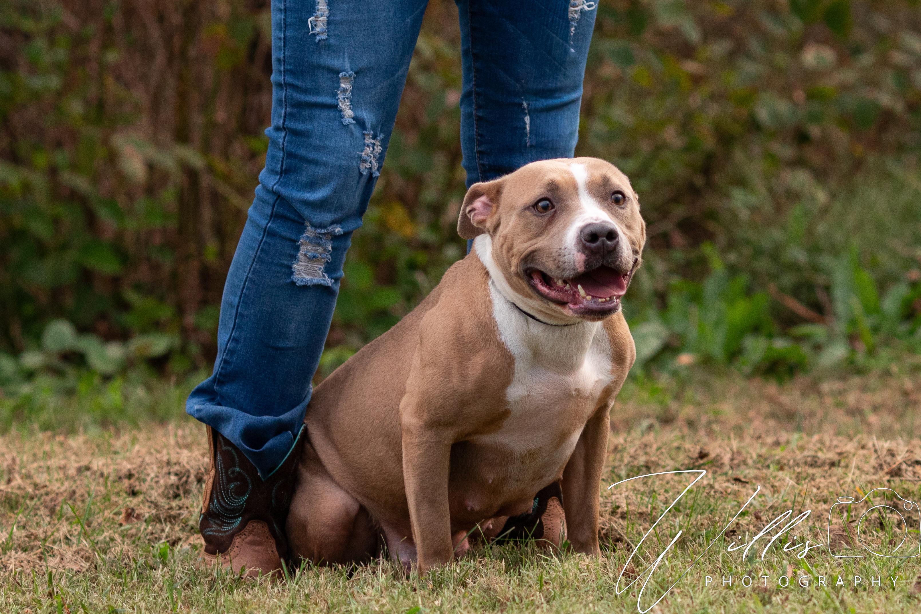 Brystal-Sponsored Adoption