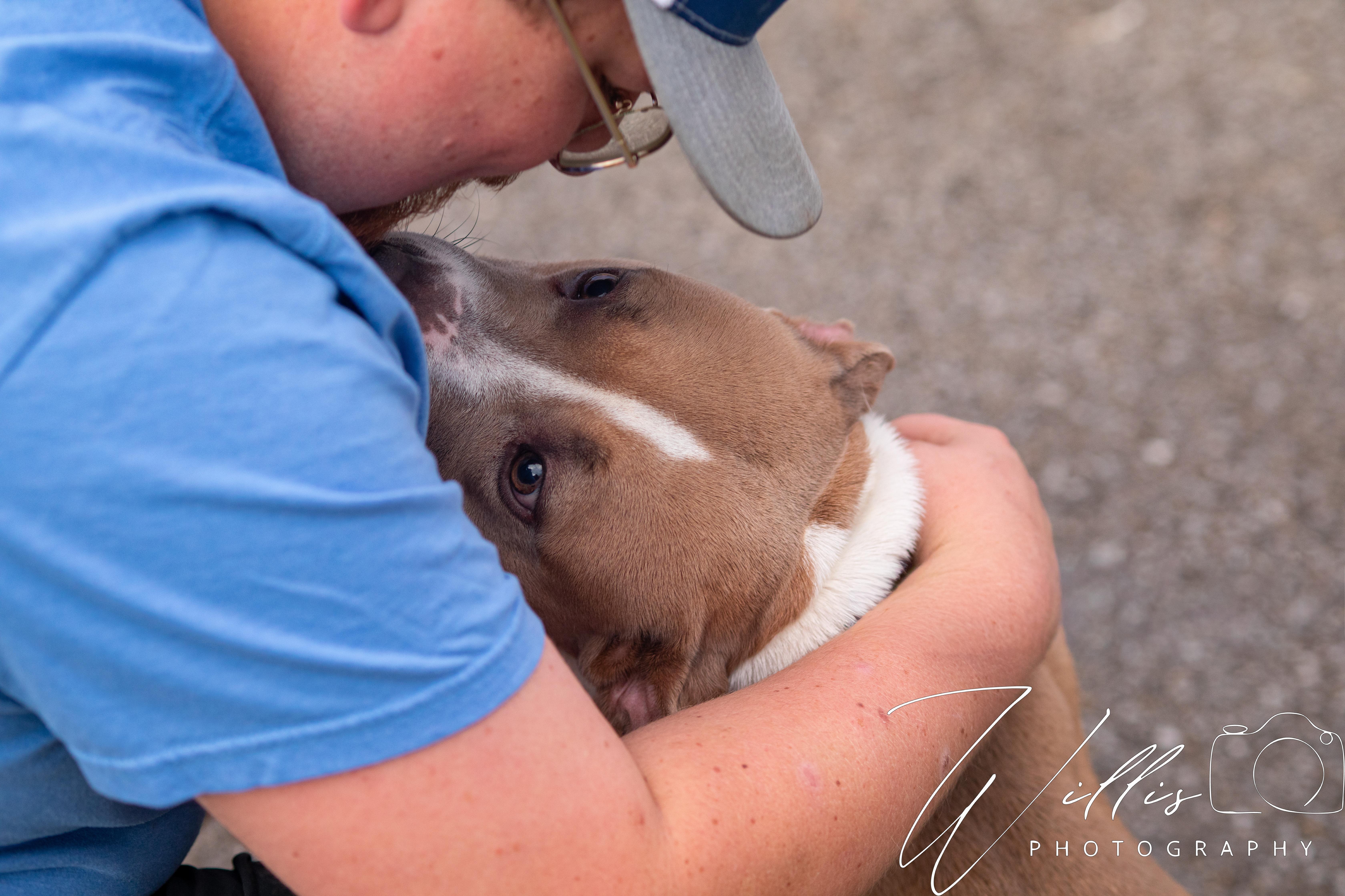 Brystal-Sponsored Adoption